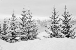 Lire la suite à propos de l’article Maçonnerie Courchevel
